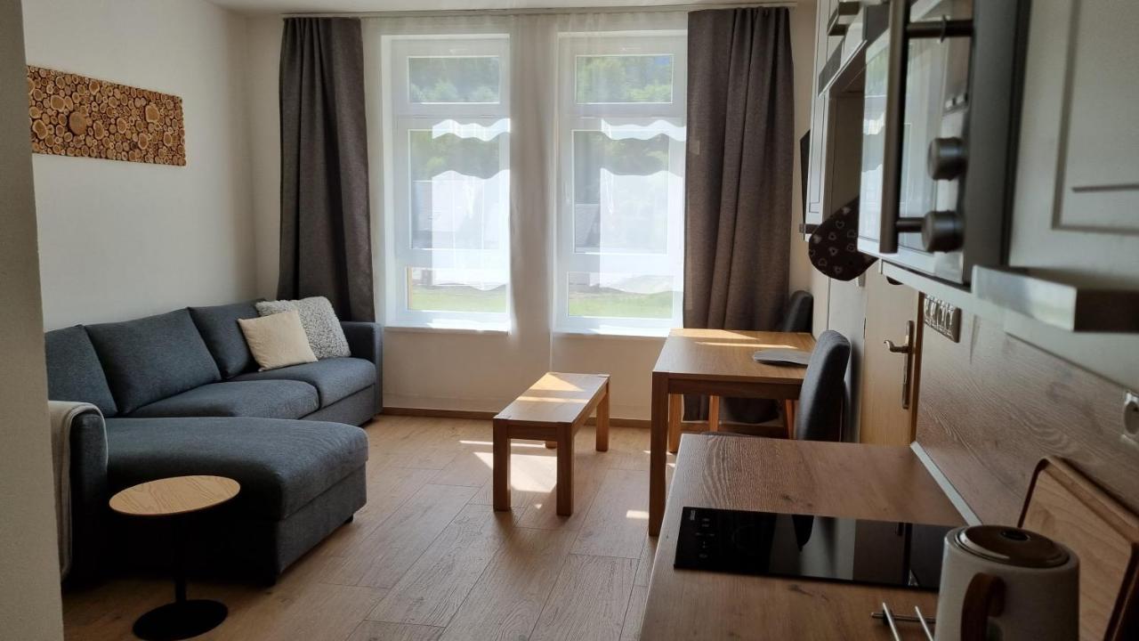 Apartmany Mlynska Horní Maršov Exterior foto